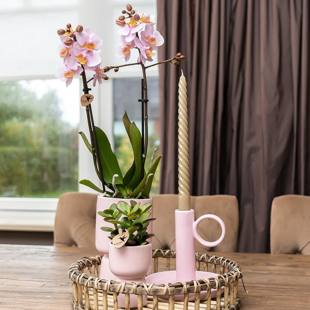 Kolibri Home | Trophy Blumentopf - rosa Keramik Topf - Topfgröße Ø6cm-Plant-Botanicly