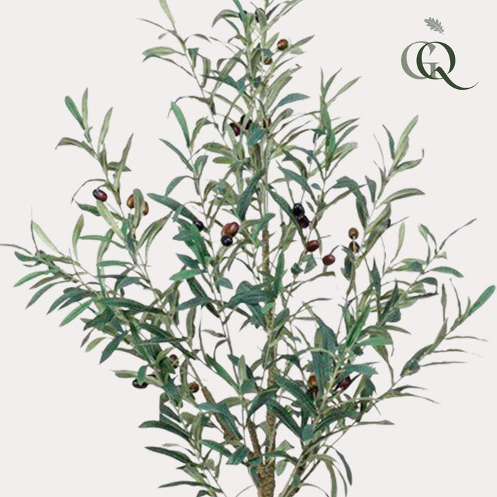 Olea Europaea - Olivenbaum - 115 cm - kunstpflanze-Plant-Botanicly