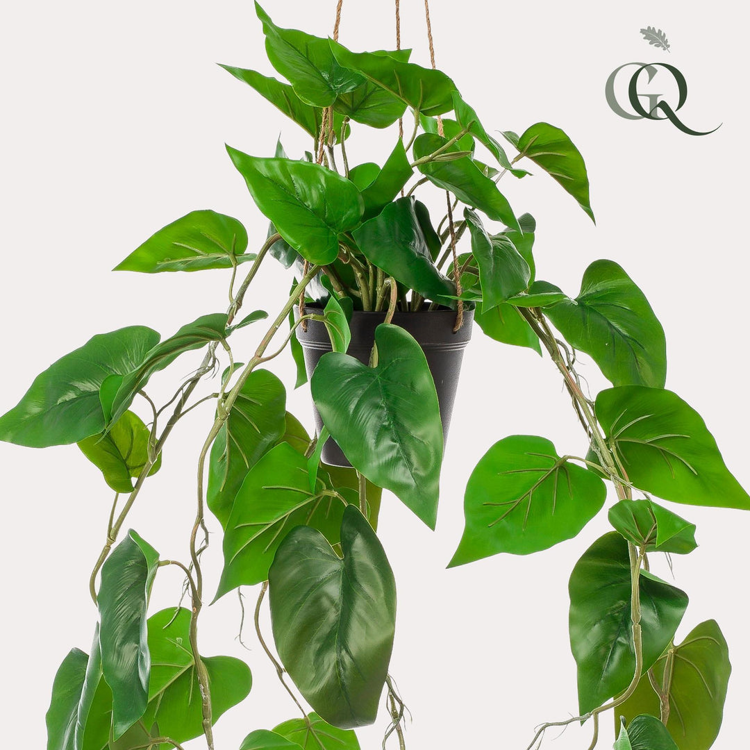 Philodendron Hängepflanze - 80 cm - kunstpflanze-Plant-Botanicly
