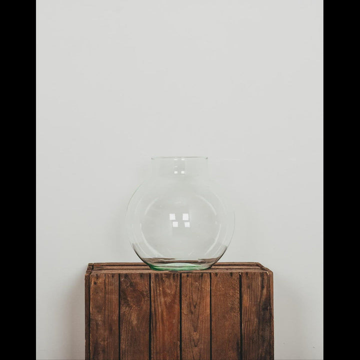Felix der Flaschengarten - DIY Komplettset inc. rundem Glasballon